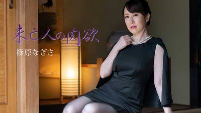 HEYZO 2511 Widow S Sexual Desire Vol 3-